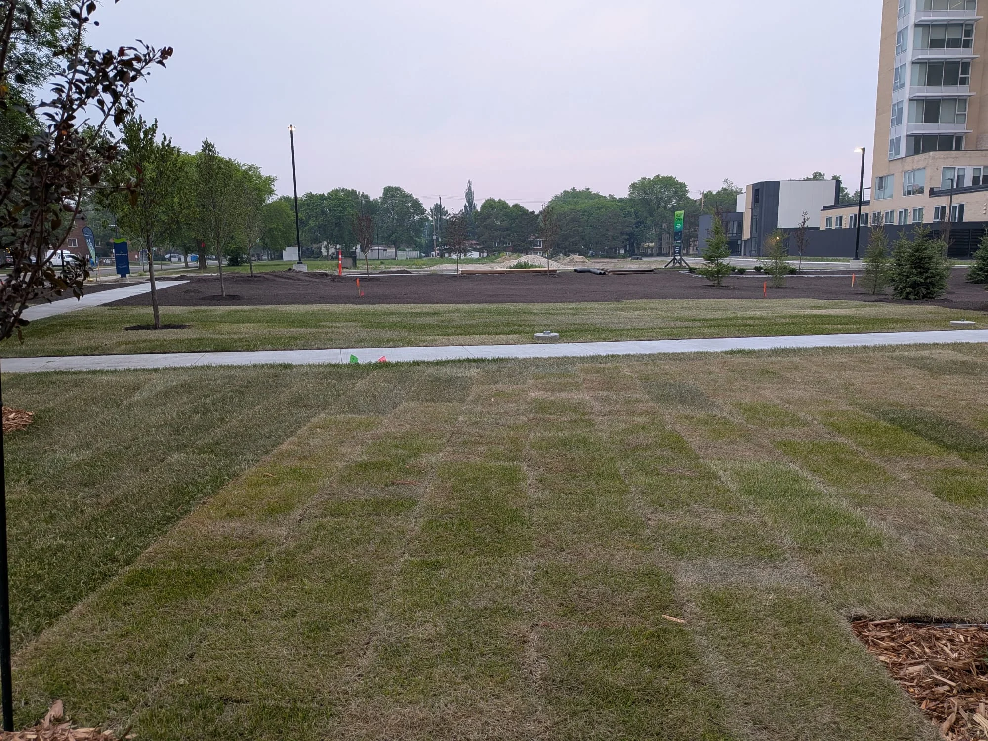 Lawn and preparation area for landscape improvements