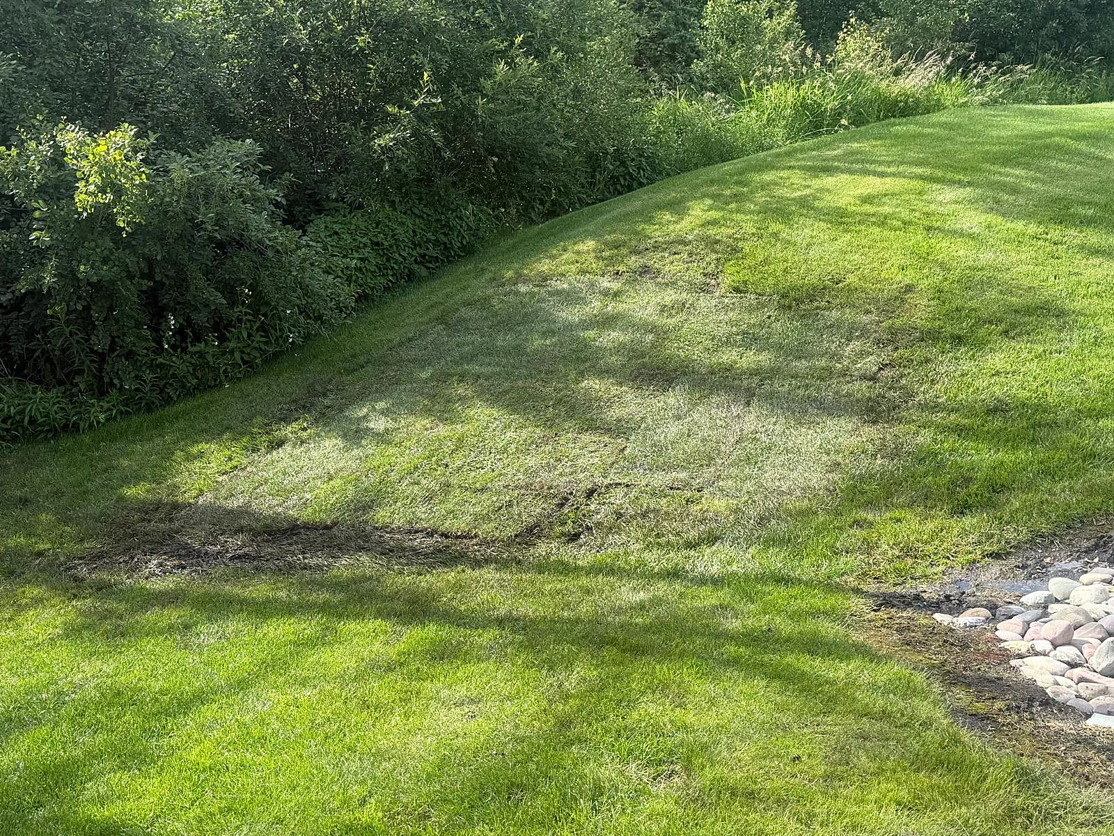 Grass coverage and maintenance on a garden slope