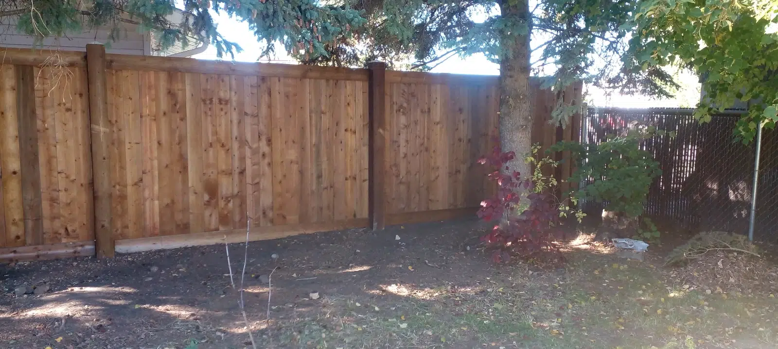 Timber privacy fencing along a landscaped residential yard