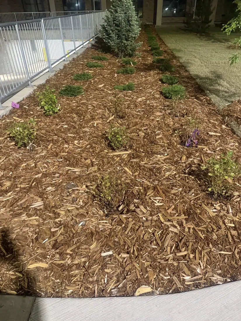 Mulch Installation