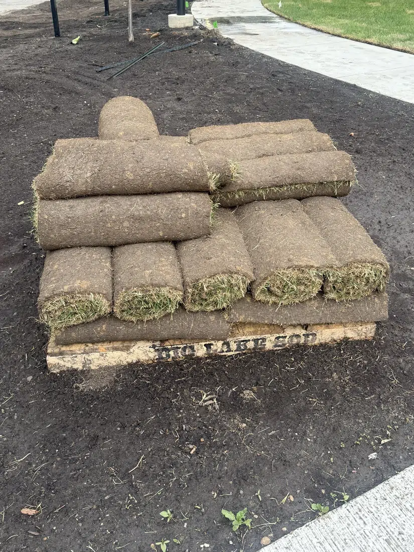 Sod Installation