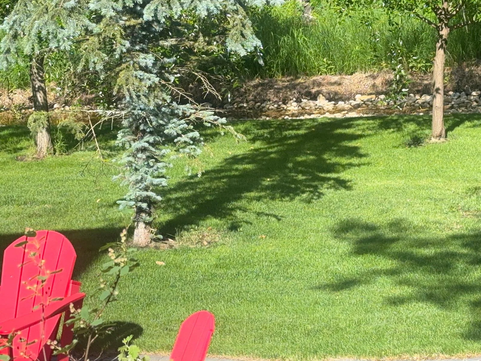 Tidy residential lawn and landscaped grounds