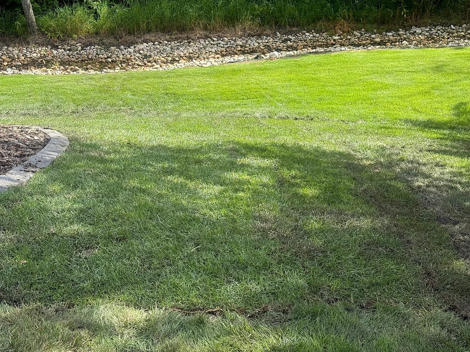 Finished lawn with clean garden edging