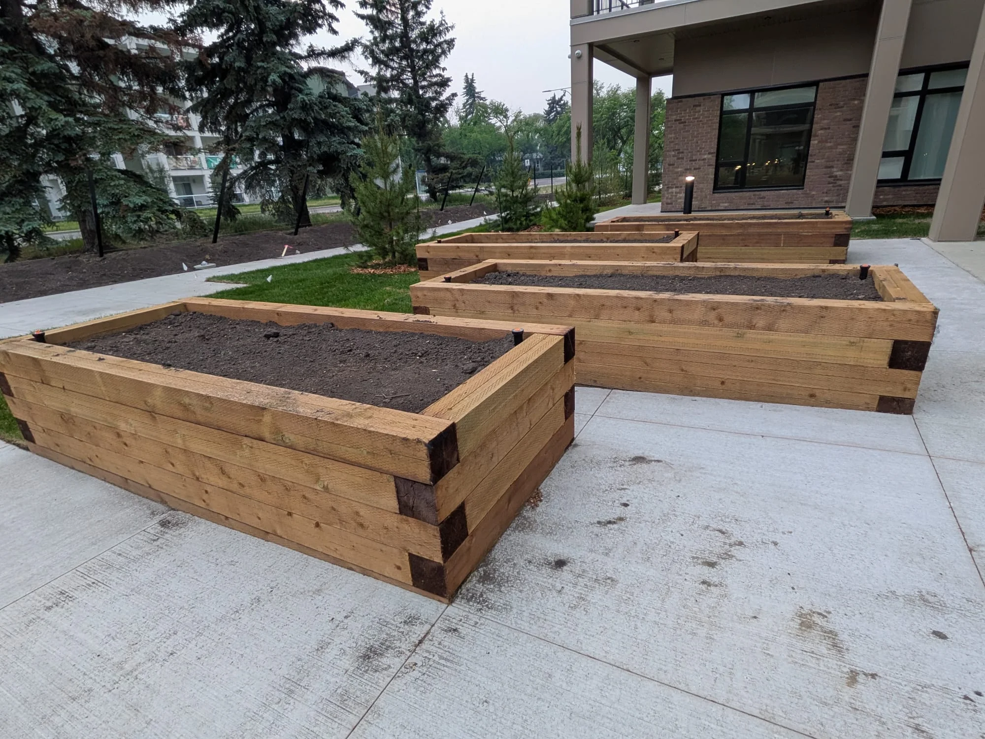Multiple raised garden planters at residential courtyard