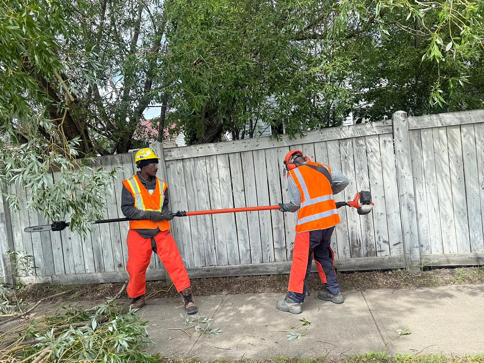 Two-person crew working with a pole saw on tree maintenance