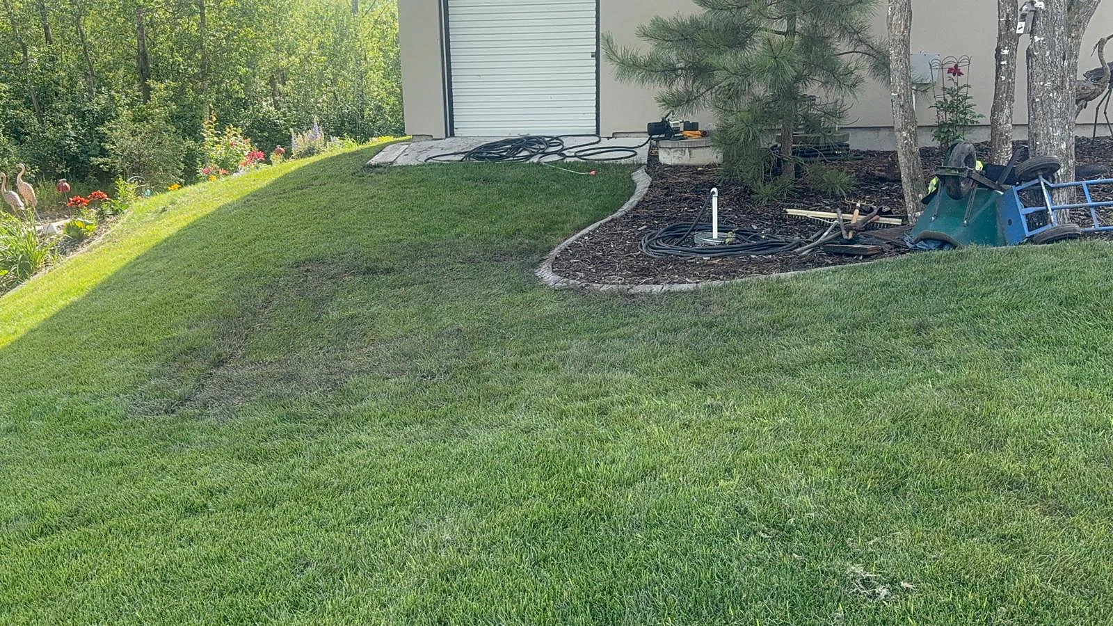 Maintained lawn beside garden border and residence